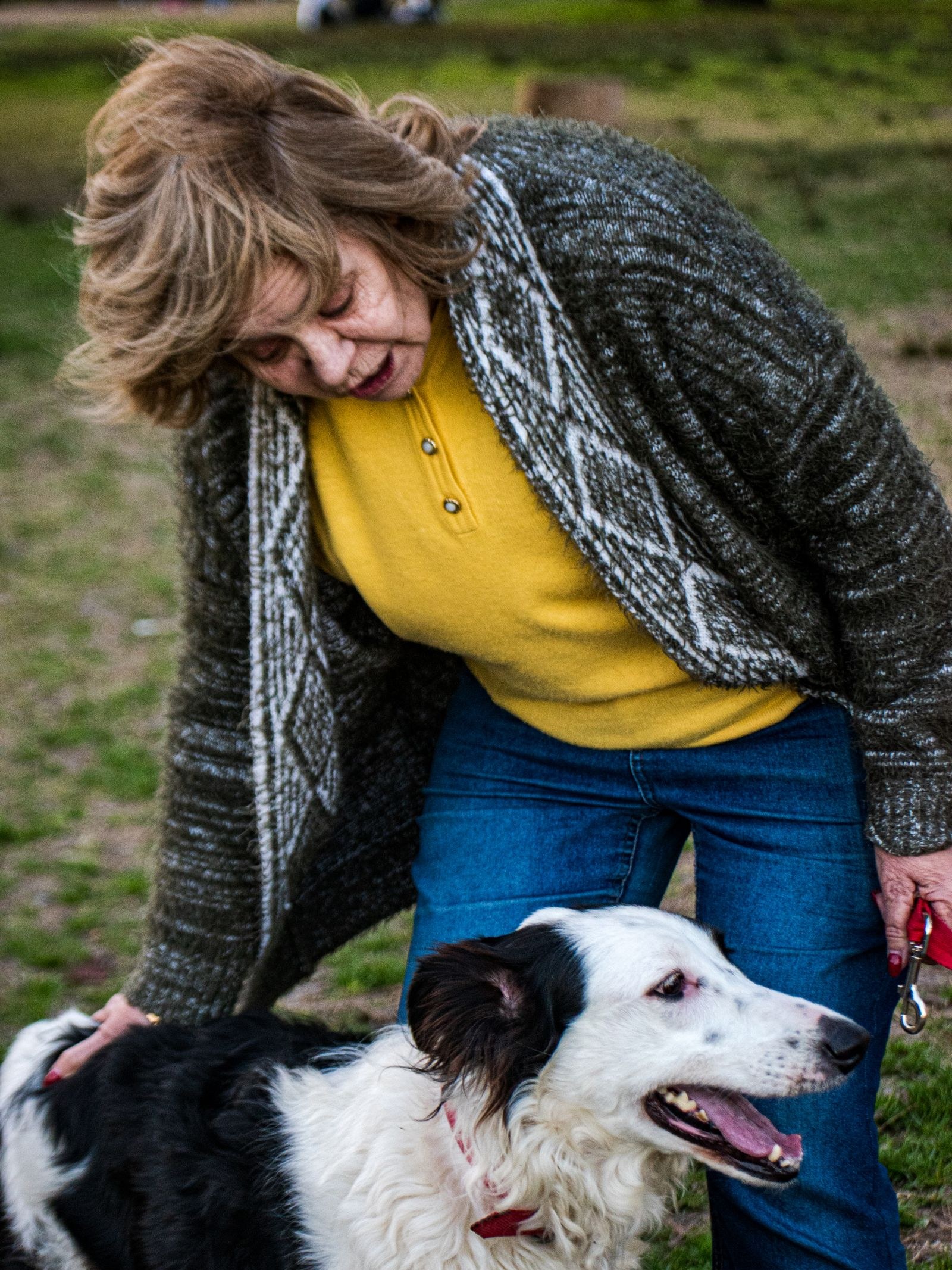 A woman in her sixties leaning down to stroke a black and white border collie in a field