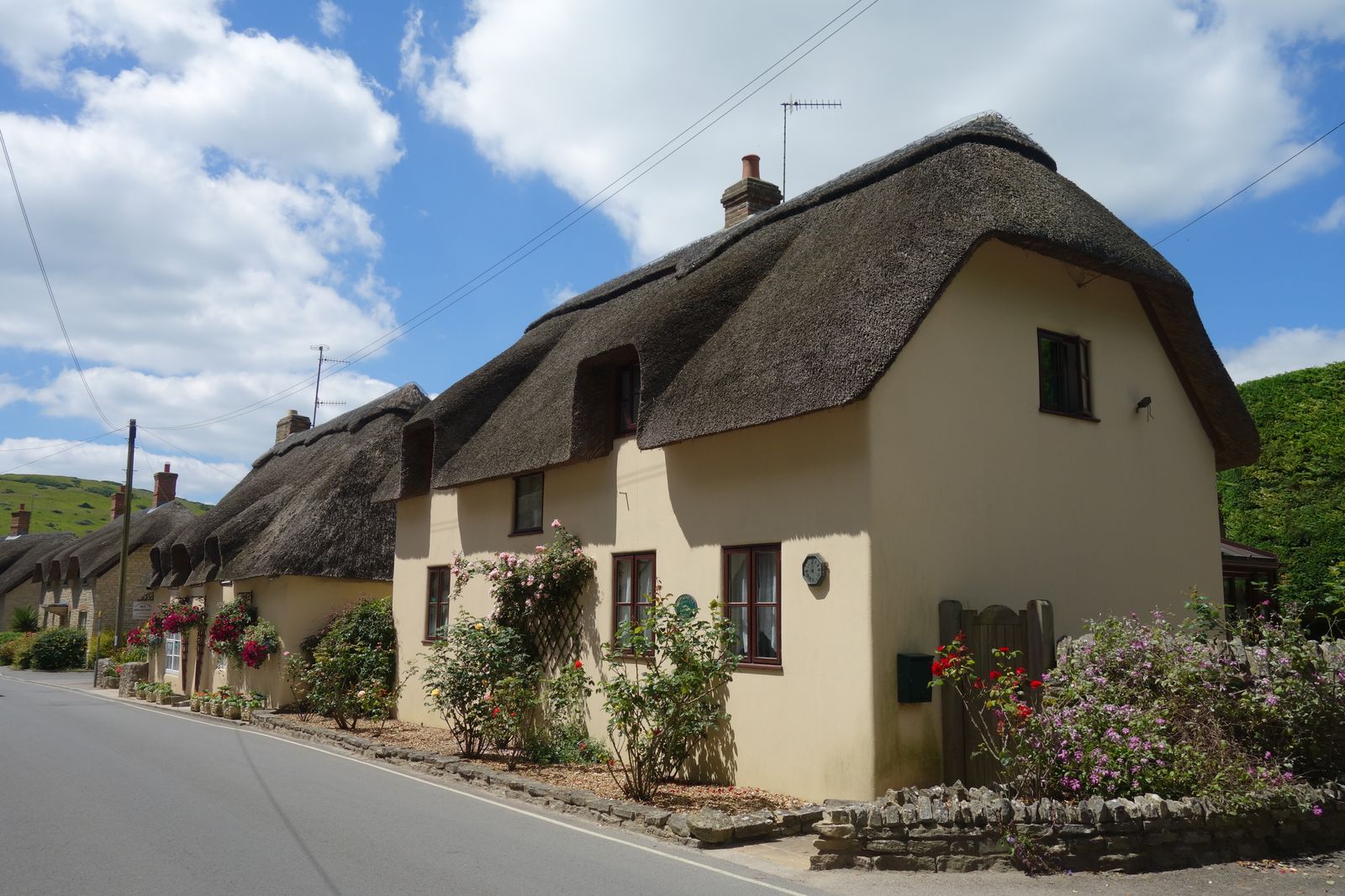 A thatched cottage with flowers along the wall on a quiet village lane